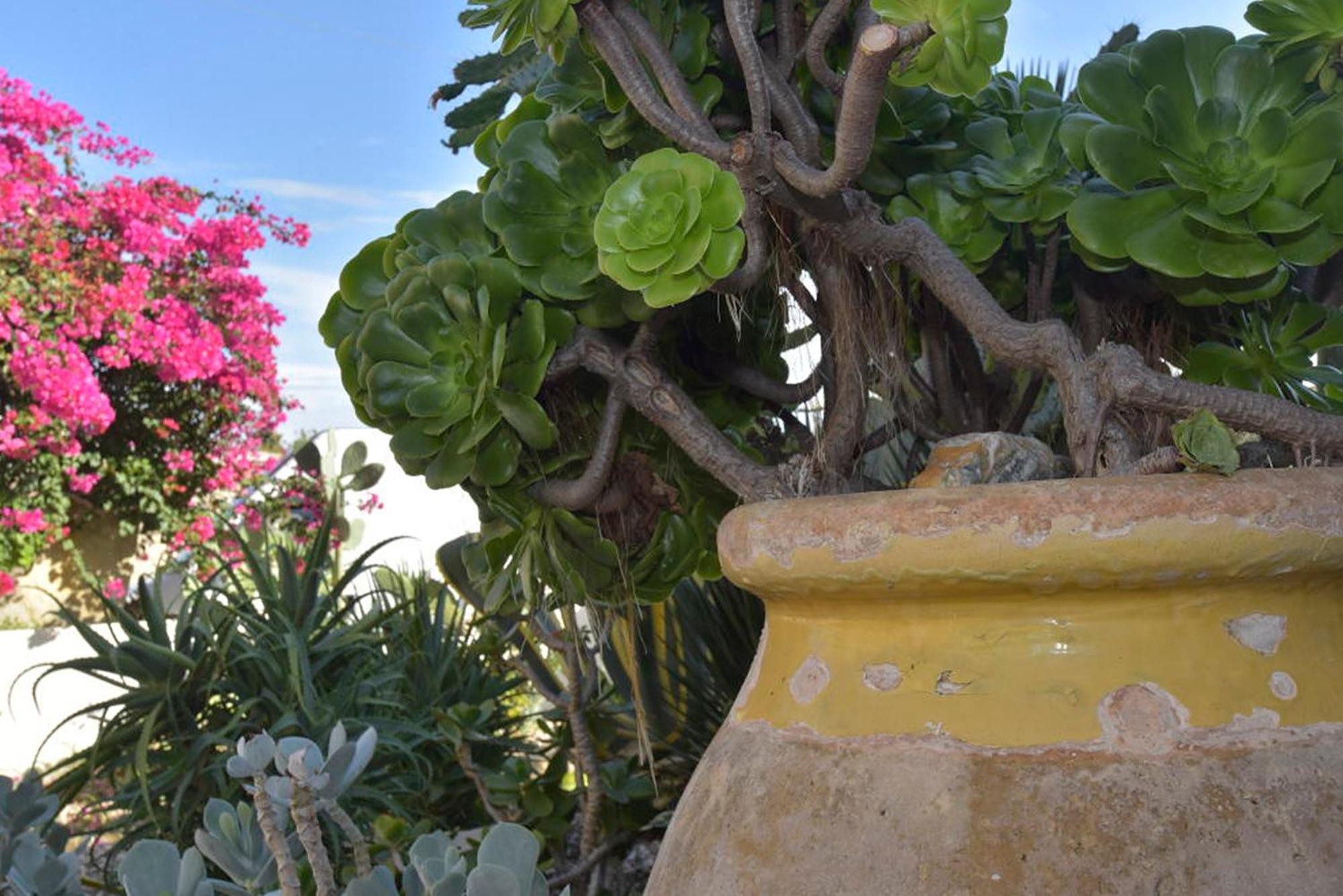 Villa Isola Bella - Costa Verde Mogoro Exteriér fotografie