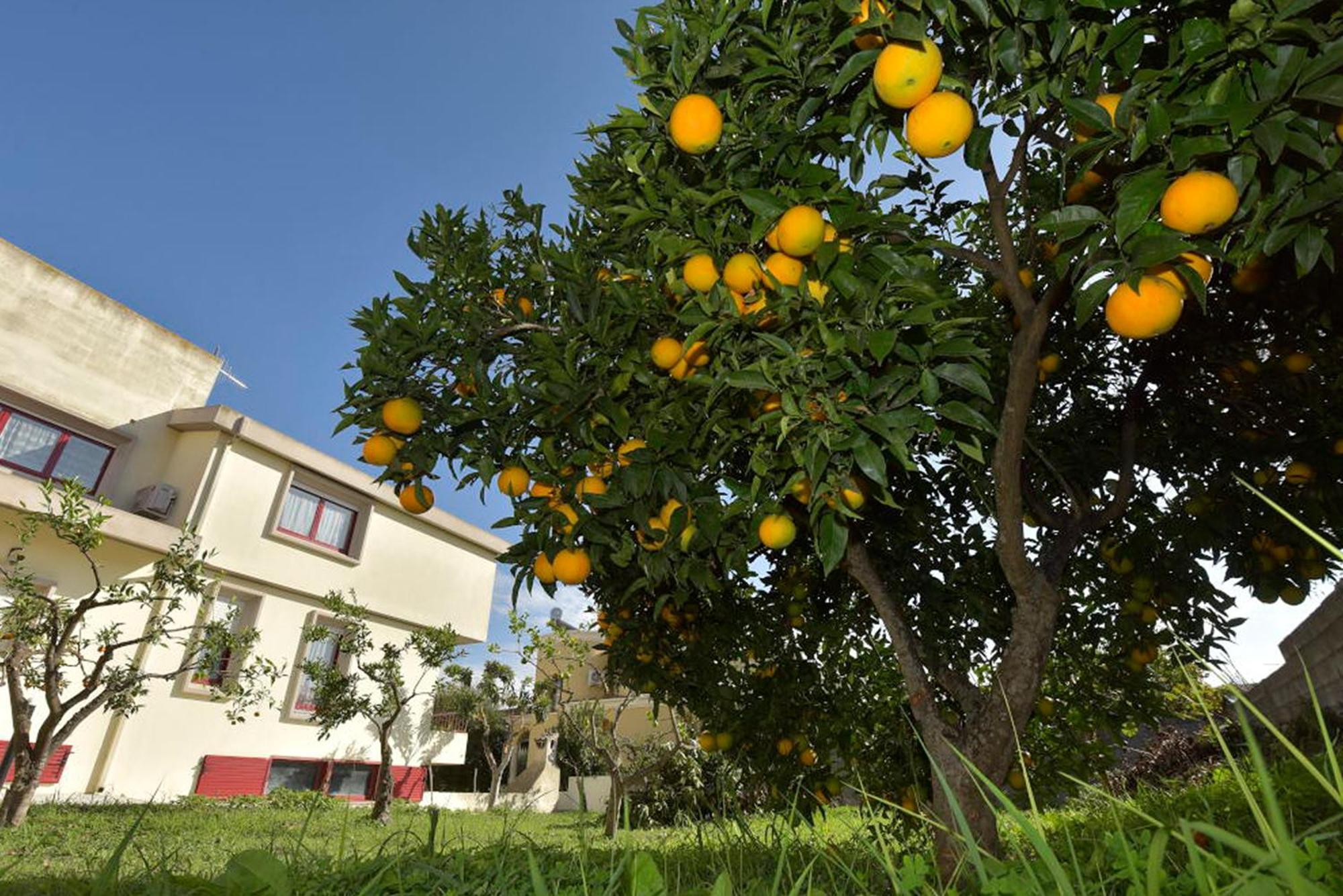 Villa Isola Bella - Costa Verde Mogoro Exteriér fotografie